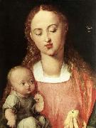 Albrecht Durer Madonna and Child with the Pear oil painting artist
